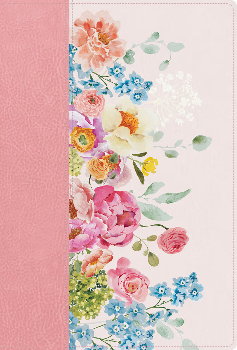 RVR 1960 Biblia letra grande, tamaño manual, edición especial, rosa pastel, símil piel