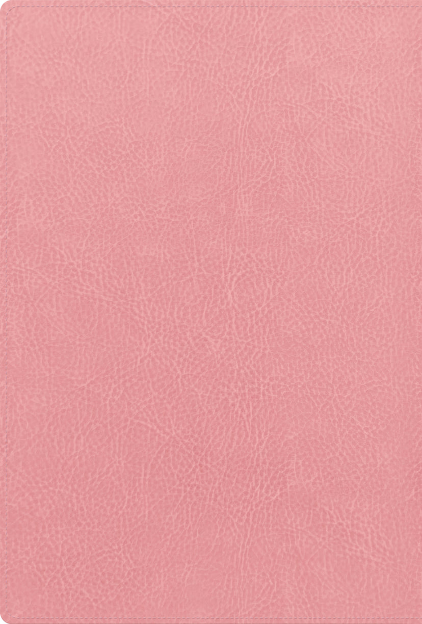 RVR 1960 Biblia letra grande, tamaño manual, edición especial, rosa pastel, símil piel