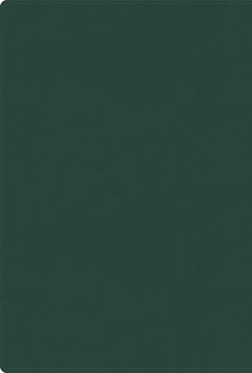 RVR 1960 Biblia letra grande, tamaño manual, edición especial, verde floreado, símil piel