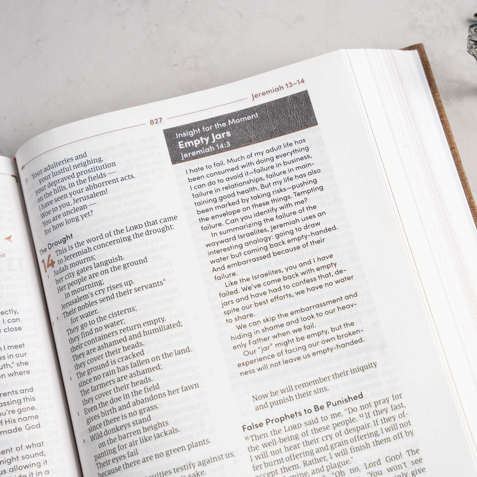 CSB Men’s Daily Bible, Brown Cloth Over Board by Broadman and Holman, product view 2