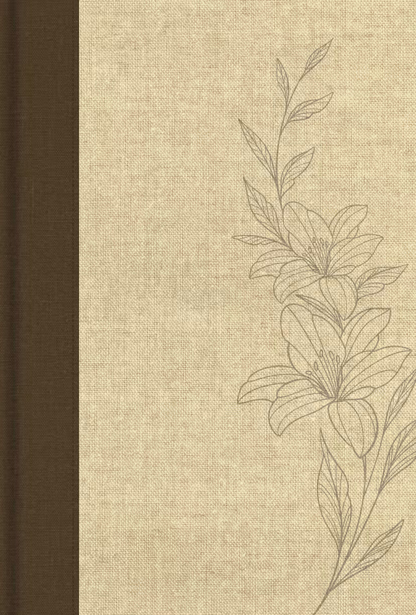 Single-Column Wide-Margin Bible (CSB) by Broadman and Holman