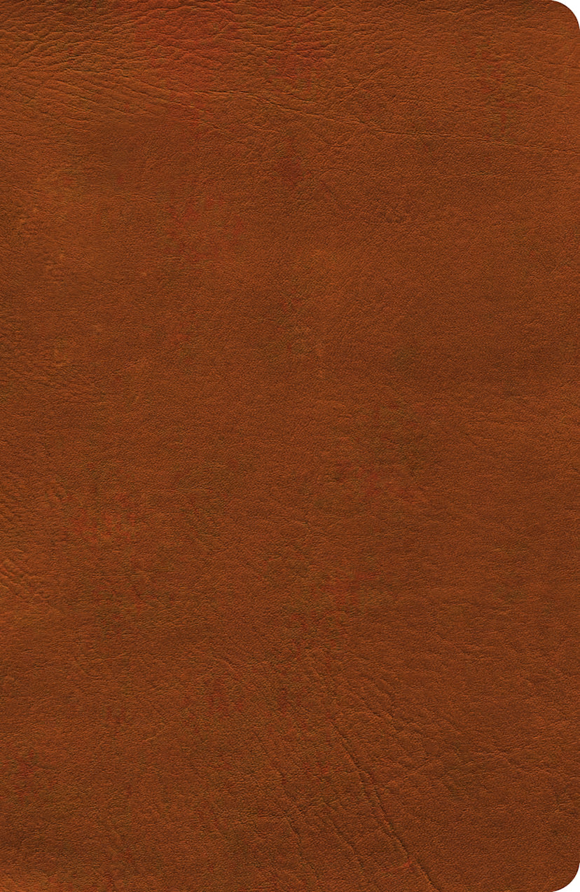 NASB Verse-by-Verse Reference Bible