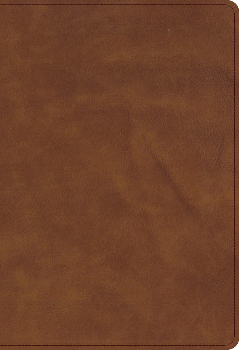 Single-Column Compact Bible (CSB) by Broadman and Holman, product view 2
