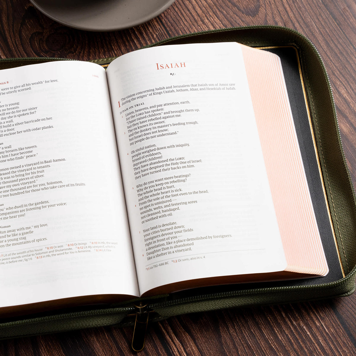 Single-Column Compact Bible (CSB) by Broadman and Holman, product view 6