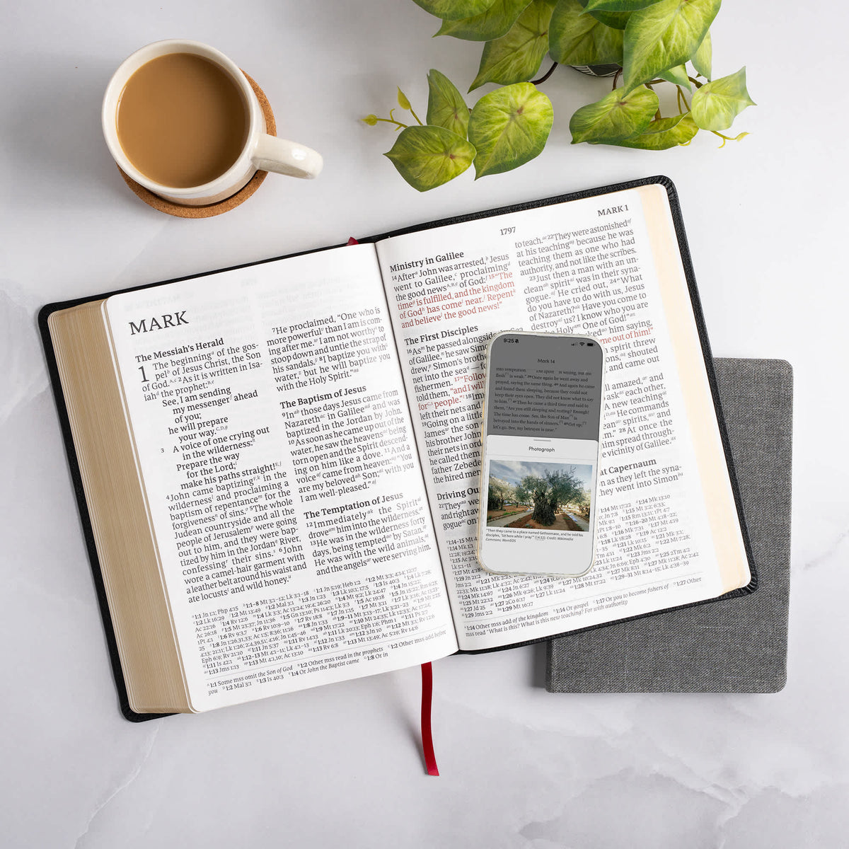 Super Giant Print Reference Bible (CSB) - Digital Study Edition by Broadman and Holman, product view 9