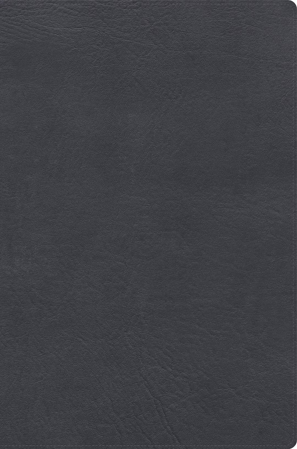 1960 Biblia de estudio letra gigante, (RVR ) gris, símil piel con índice