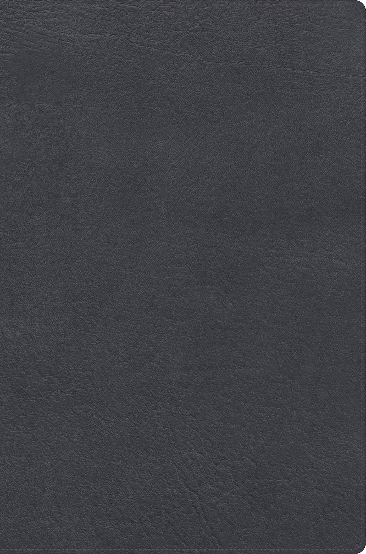 RVR 1960 Biblia de estudio letra gigante, gris, símil piel con índice by Broadman and Holman