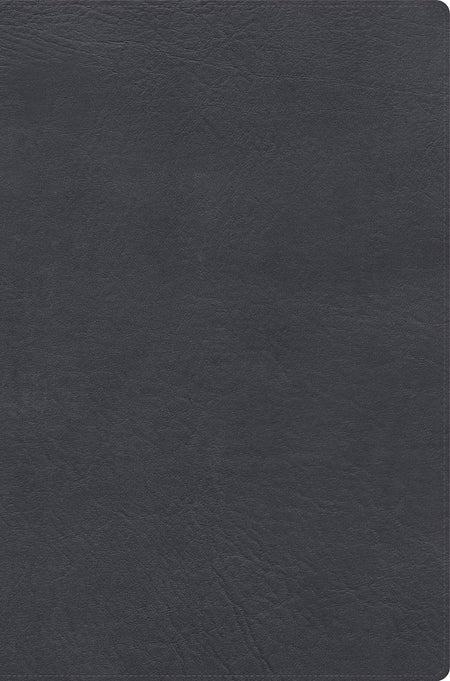 RVR 1960 Biblia de estudio letra gigante, gris, símil piel con índice by Broadman and Holman