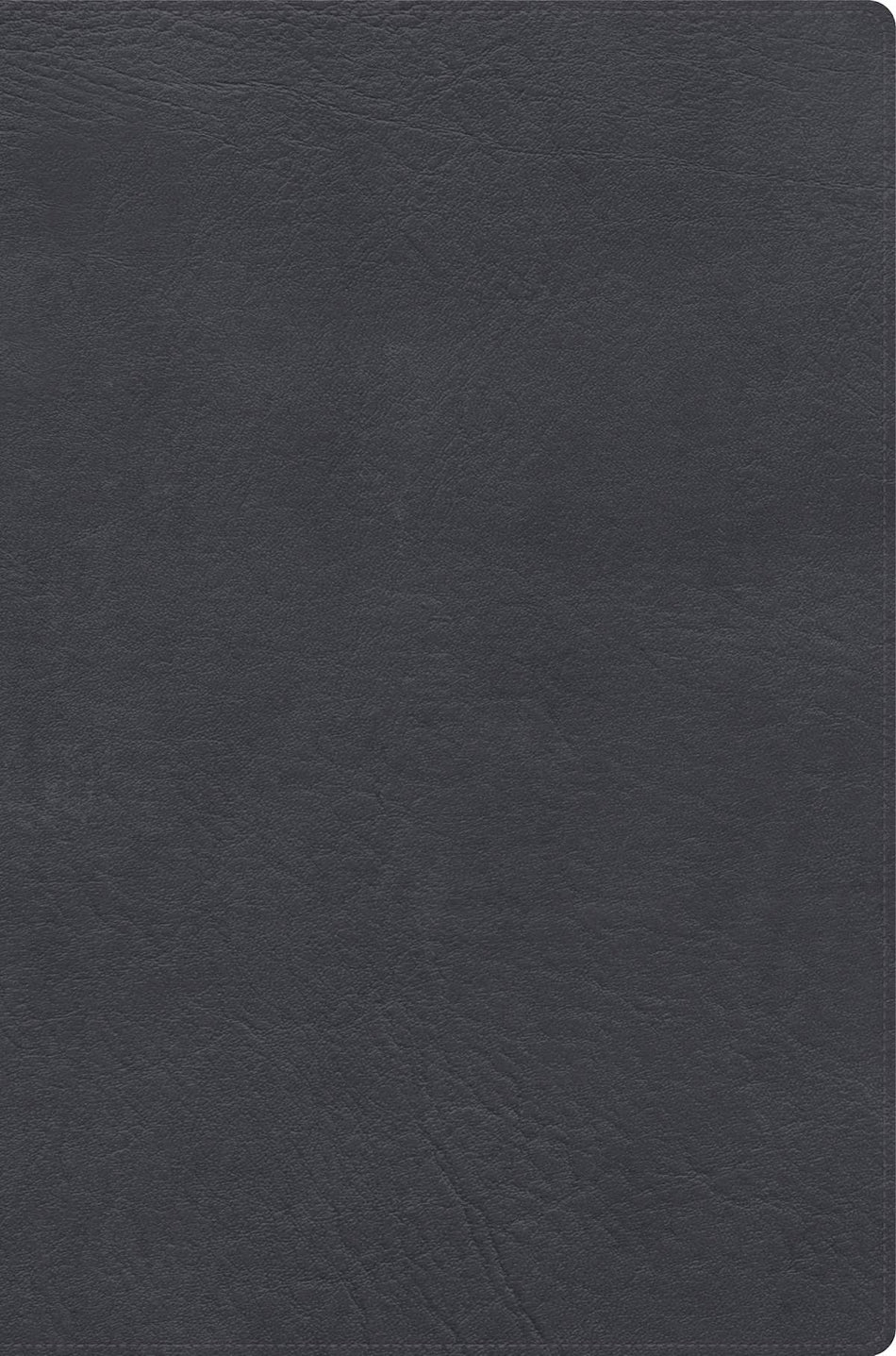 RVR 1960 Biblia de estudio letra gigante, gris, símil piel con índice by Broadman and Holman