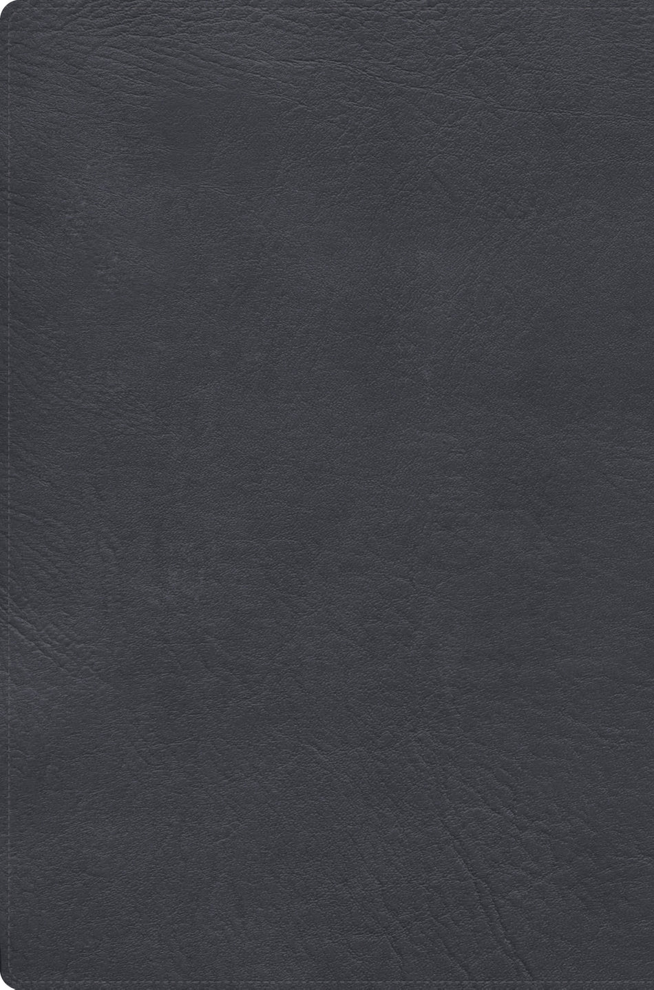 RVR 1960 Biblia de estudio letra gigante, gris, símil piel con índice by Broadman and Holman, product view 2