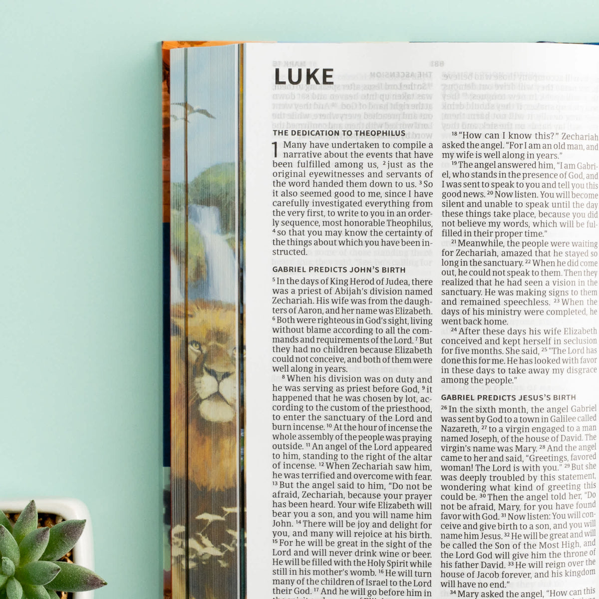 Holy Bible for Kids (CSB) - Large Print Economy Edition - Hardcover by Broadman and Holman, product view 7