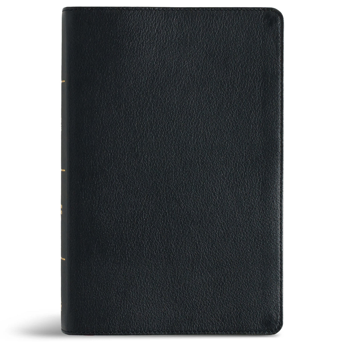 Personal Size Giant Print Bible (CSB) - Digital Study Edition by Broadman and Holman, product view 6
