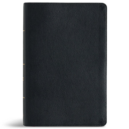 Personal Size Giant Print Bible (CSB) - Digital Study Edition by Broadman and Holman, product view 6