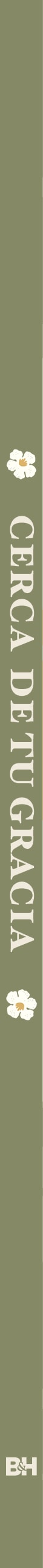 Cerca de Tu gracia: Diario de gratitud by Broadman and Holman, product view 3