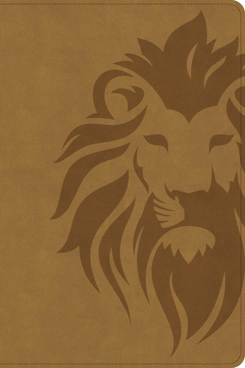 One Big Story Bible, (KJV ) Revised & Updated, Easy-to-Read Optimal Type
