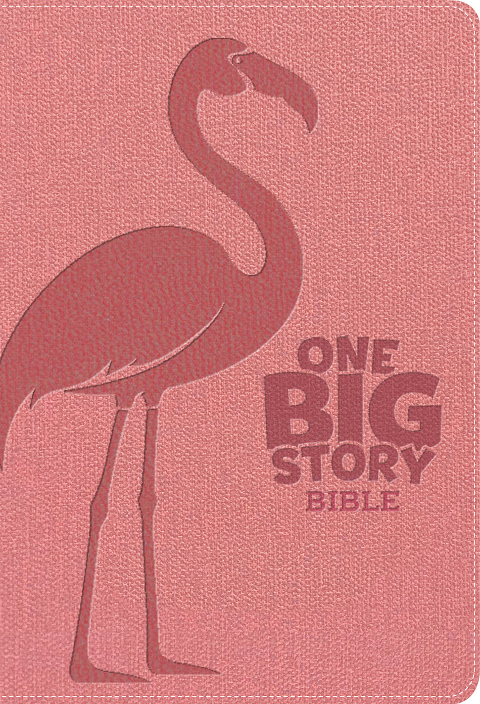 One Big Story Bible, (KJV ) Revised & Updated, Easy-to-Read Optimal Type