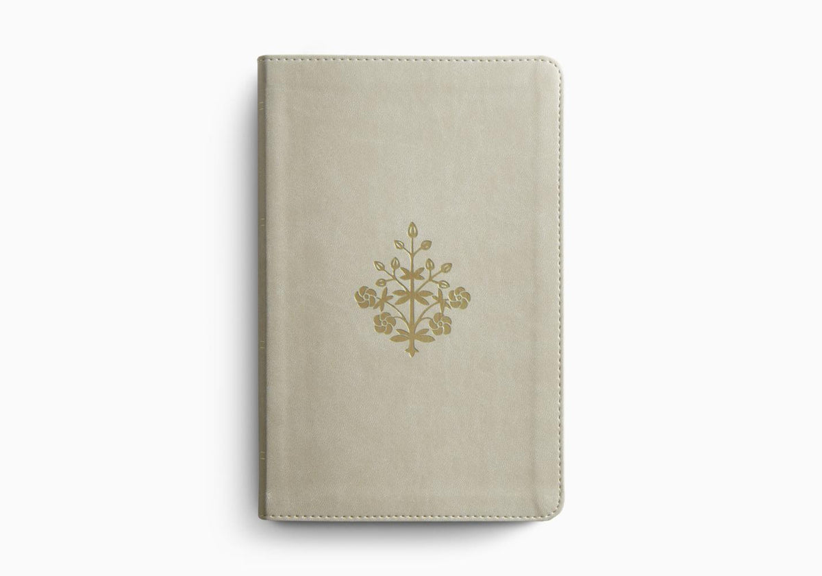 ESV Thinline Bible, Red Letter – Leather (9798874903558) by Crossway