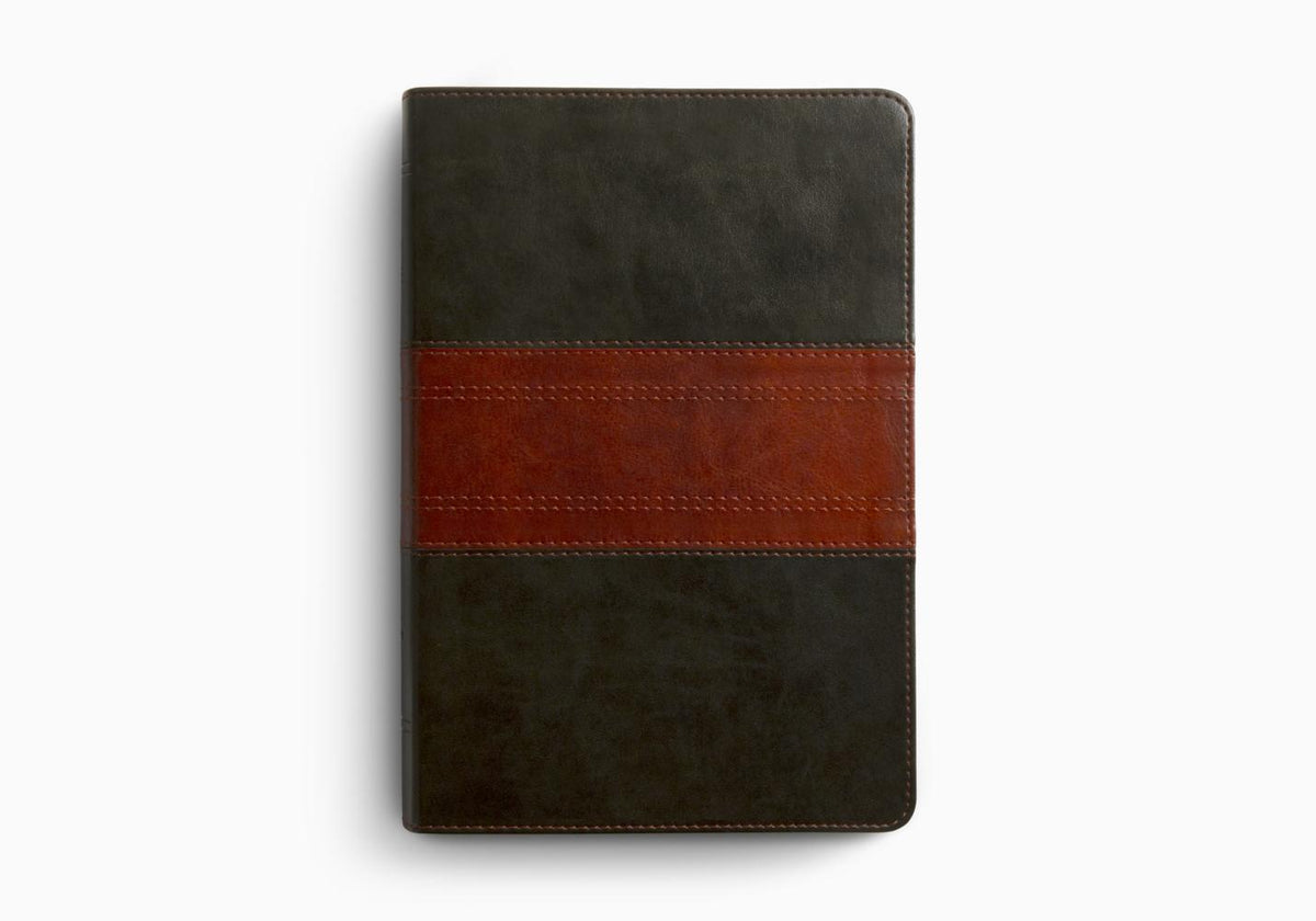 ESV Giant Print Personal Size Bible – Leather by Crossway