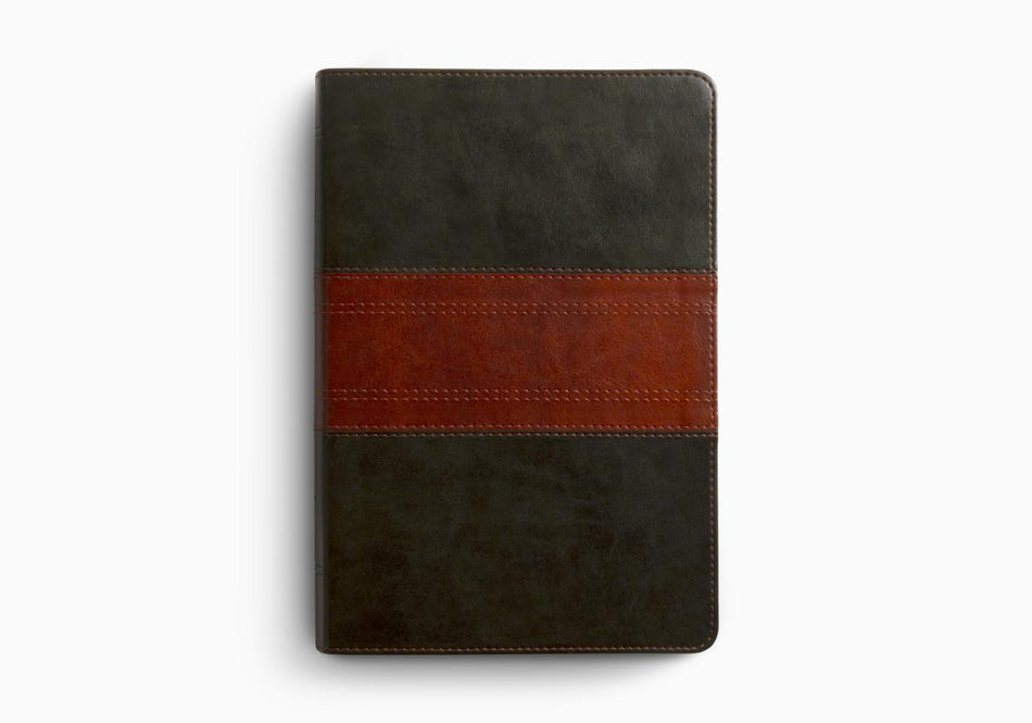 ESV Giant Print Personal Size Bible – Leather by Crossway
