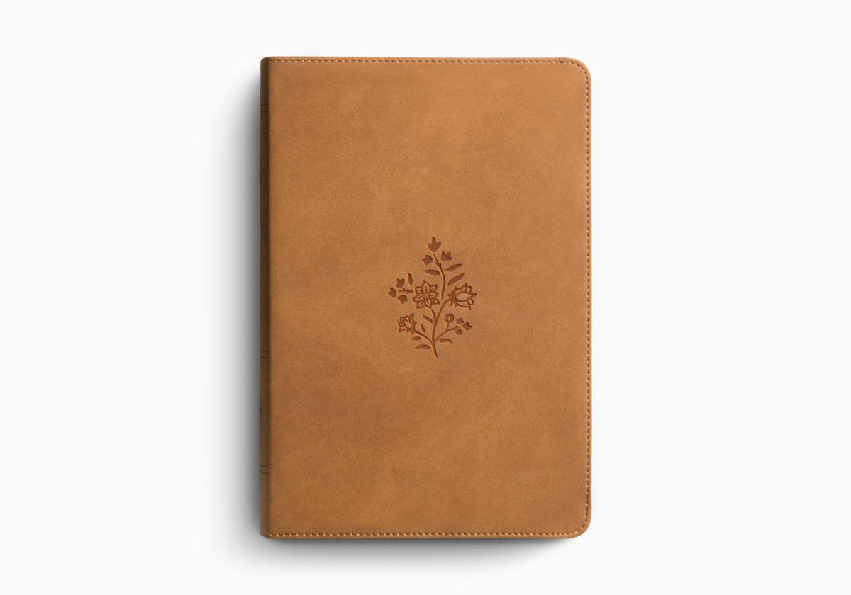 ESV Giant Print Personal Size Bible – Leather (9798874906436) by Crossway