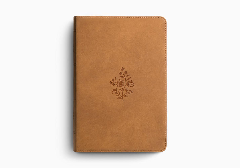 ESV Giant Print Personal Size Bible, Red Letter, Thumb Indexed by Crossway