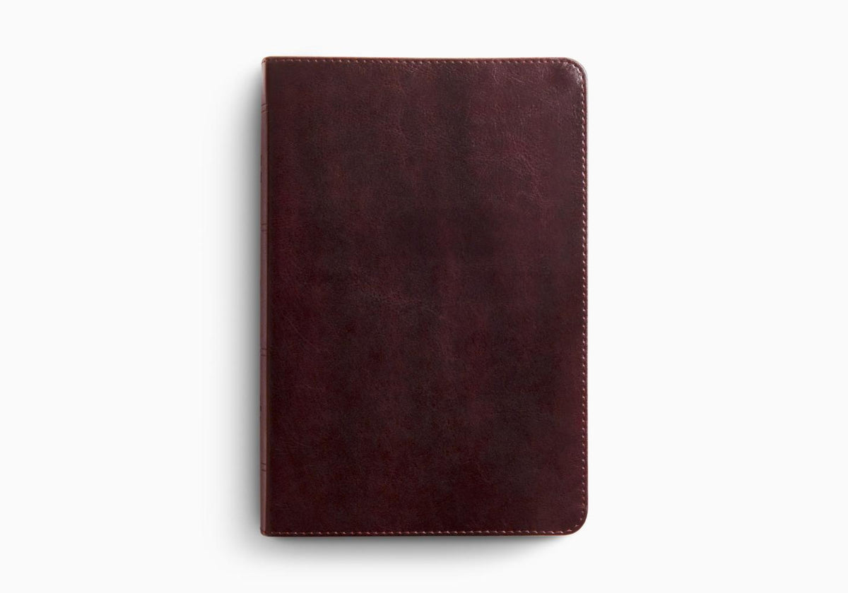 ESV Giant Print Personal Size Bible, Red Letter – Leather (9798874906573) by Crossway