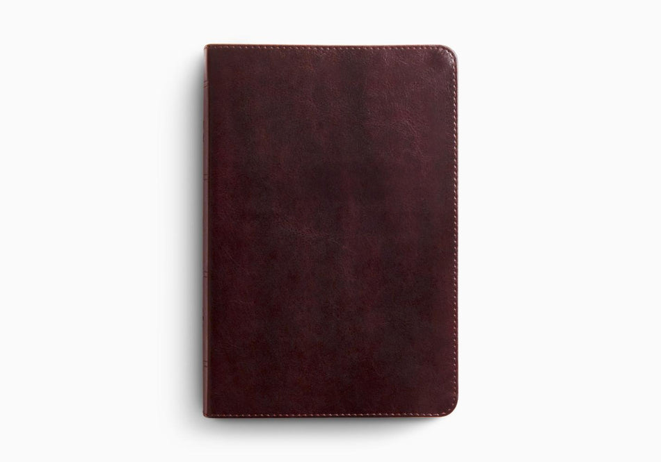 ESV Giant Print Personal Size Bible, Red Letter – Leather (9798874906573) by Crossway