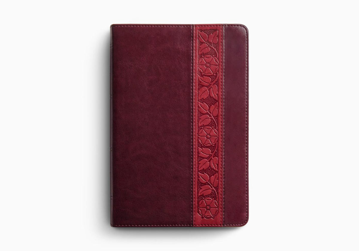 ESV Giant Print Personal Size Bible, Red Letter – Leather (9798874906634) by Crossway