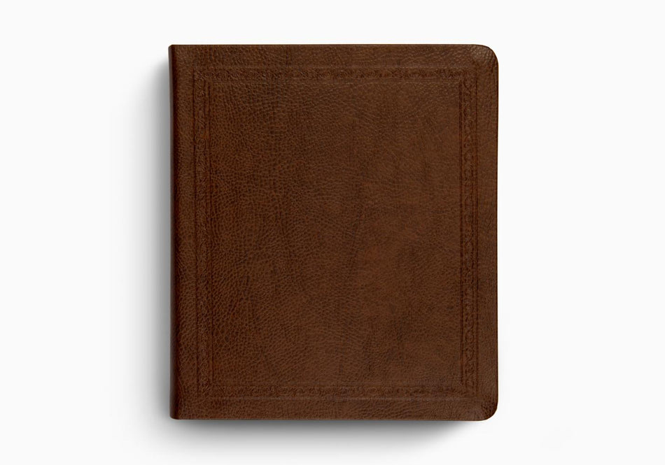 ESV Journaling Bible – Leather (9798874907594) by Crossway