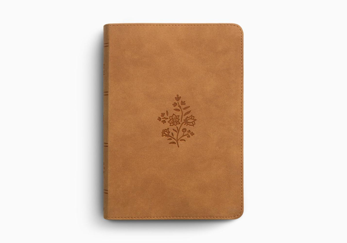 ESV Large Print Personal Size Bible, Red Letter – Leather (9798874907709) by Crossway