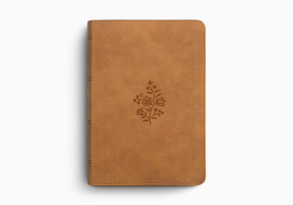 ESV Large Print Personal Size Bible, Red Letter – Leather (9798874907709) by Crossway