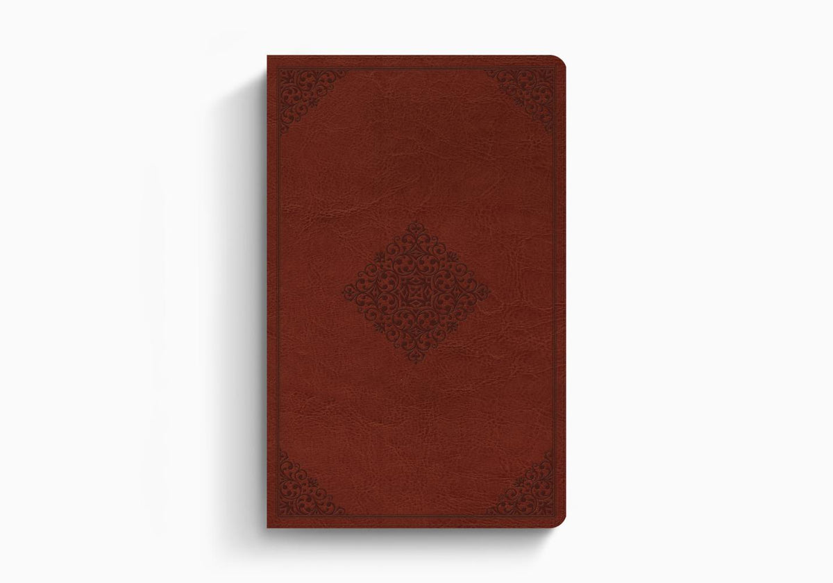 ESV Large Print Value Thinline Bible – Imitation Leather (9798874907723) by Crossway