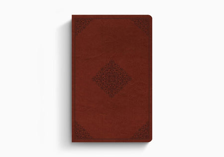 ESV Large Print Value Thinline Bible – Imitation Leather (9798874907723) by Crossway