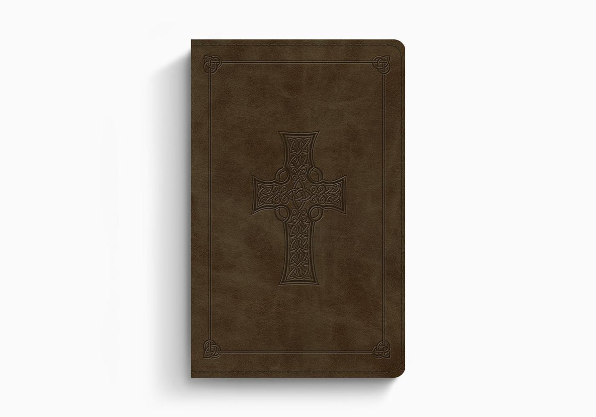 ESV Large Print Value Thinline Bible – Imitation Leather (9798874907747) by Crossway