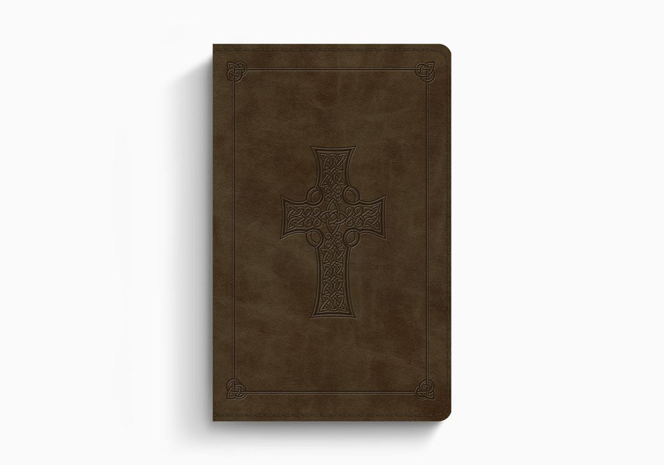 ESV Large Print Value Thinline Bible – Imitation Leather (9798874907747) by Crossway