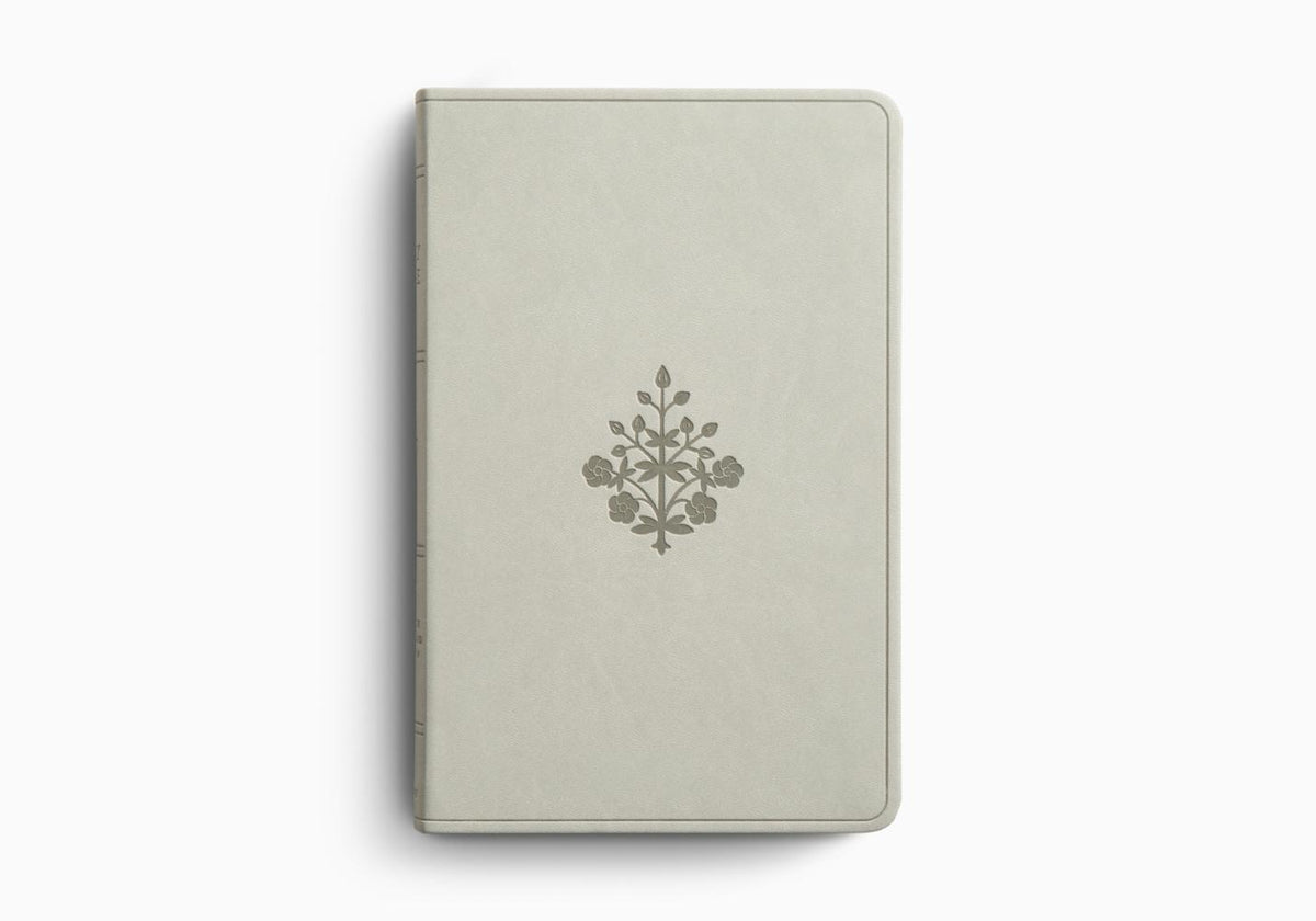 ESV Large Print Value Thinline Bible – Imitation Leather (9798874907754) by Crossway