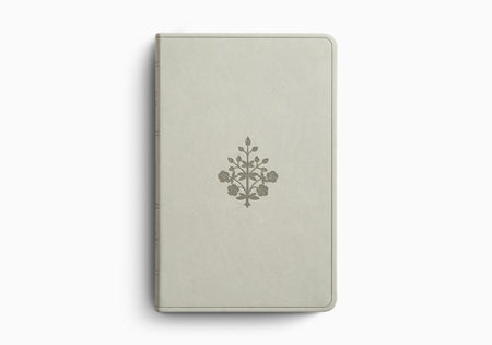 ESV Large Print Value Thinline Bible – Imitation Leather (9798874907754) by Crossway