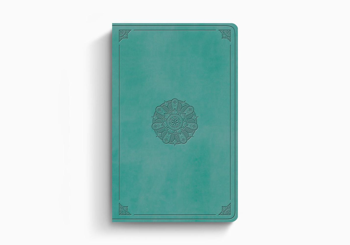 ESV Large Print Value Thinline Bible – Imitation Leather (9798874907792) by Crossway