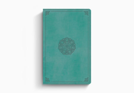 ESV Large Print Value Thinline Bible – Imitation Leather (9798874907792) by Crossway