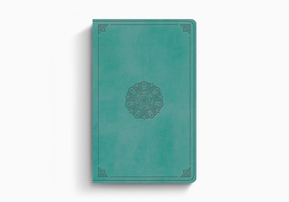 ESV Large Print Value Thinline Bible – Imitation Leather (9798874907792) by Crossway