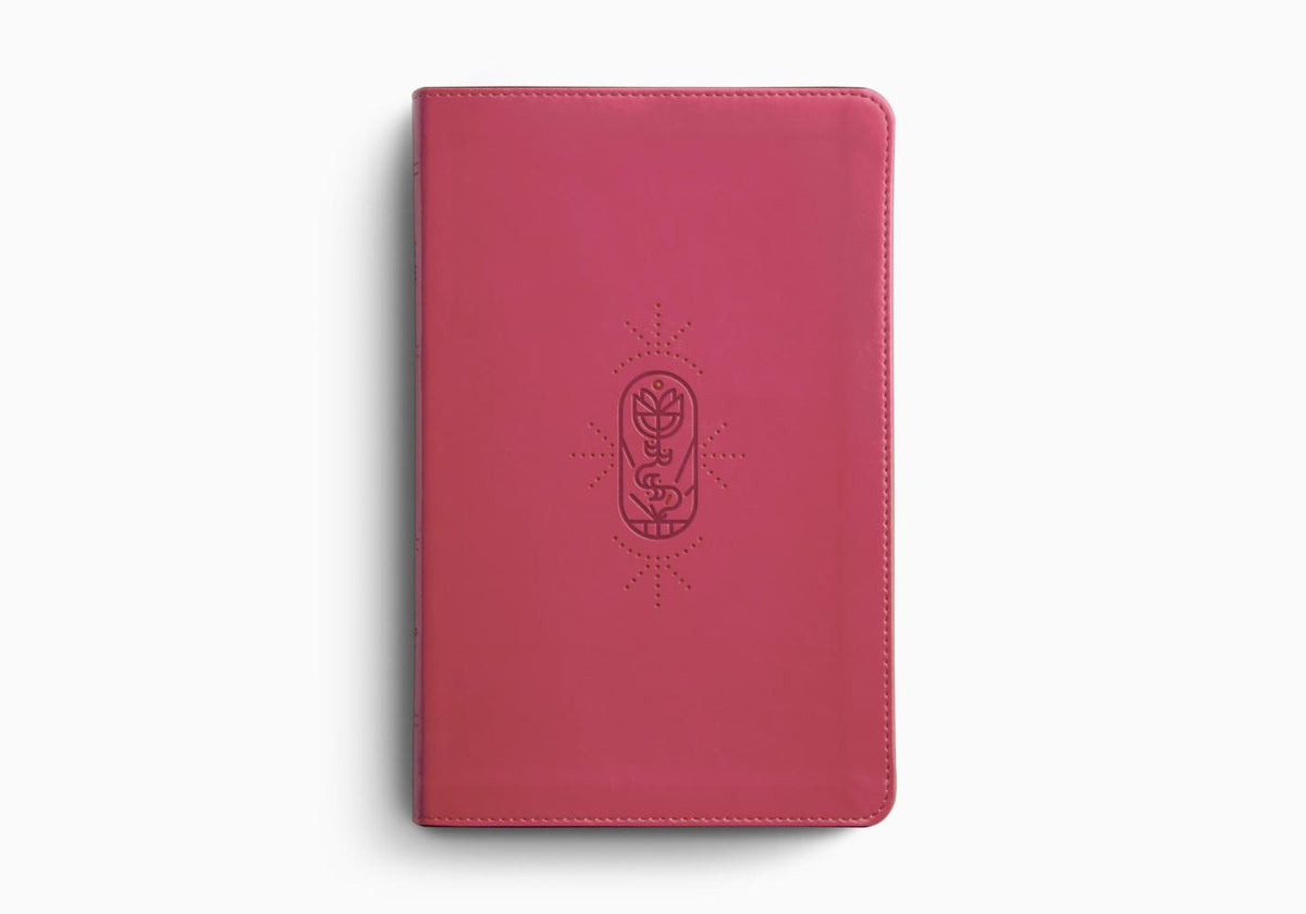ESV Kid's Bible, Thinline, Red Letter – Leather by Crossway