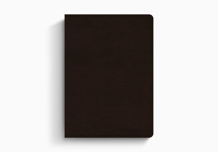 ESV Large Print Value Personal Size Bible – Imitation Leather by Crossway
