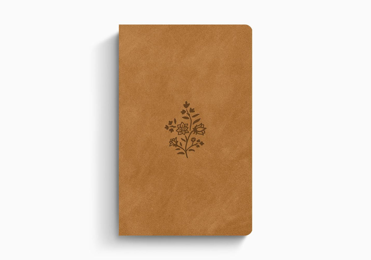 ESV Large Print Value Thinline Bible – Imitation Leather (9798874909017) by Crossway