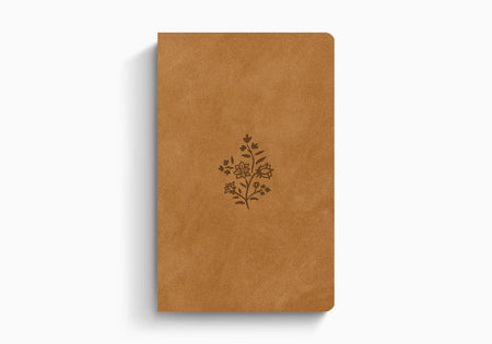 ESV Large Print Value Thinline Bible – Imitation Leather (9798874909017) by Crossway