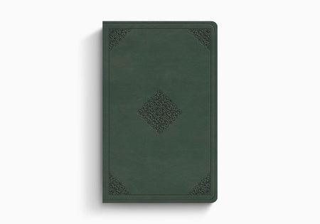 ESV Large Print Value Thinline Bible – Imitation Leather (9798874909024) by Crossway