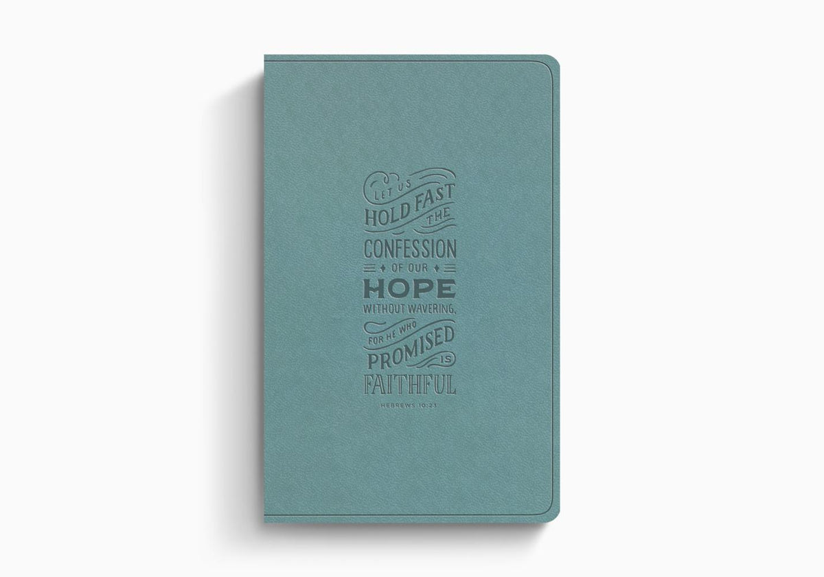 ESV Large Print Value Thinline Bible – Imitation Leather (9798874909031) by Crossway