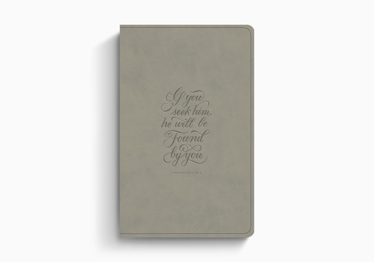ESV Large Print Value Thinline Bible – Imitation Leather (9798874909048) by Crossway