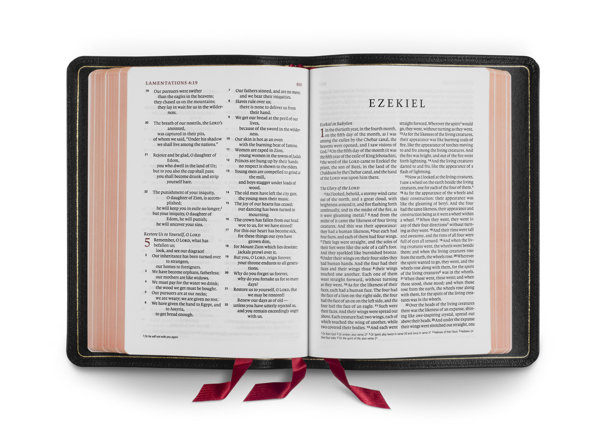 ESV Heirloom Bible, Alpha: Personal Size Edition – Leather (979-8-8749-0442-5), Goatskin, Black by Crossway, product view 2