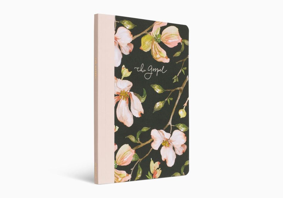 ESV Prayer Journal: 30 Days on the Gospel