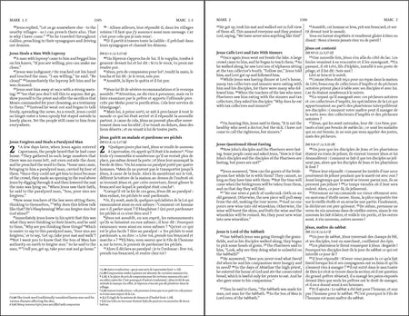 French Semeur/English Bilingual Bible (NIV) - Hardcover by HarperCollins, product view 4